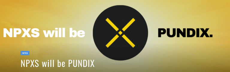 NPXS（PUNDIX）